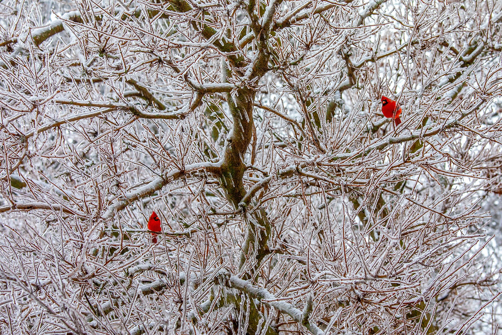 Embracing Resilience: Finding Strength in Challenging Times
